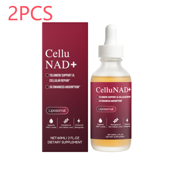 The Science-Backed NAD+ Protocol to Boost Dog Health Span