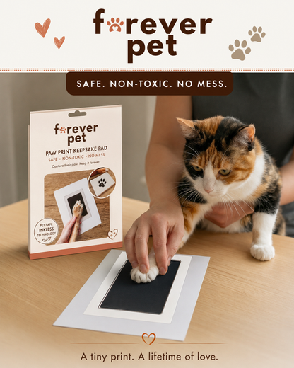 ForeverPet  Non-toxic Paw Print Ink Keepsake