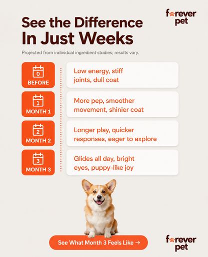 Science-Backed Nanoliposomal Dog Longevity Drops