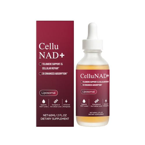 The Science-Backed NAD+ Protocol to Boost Dog Health Span