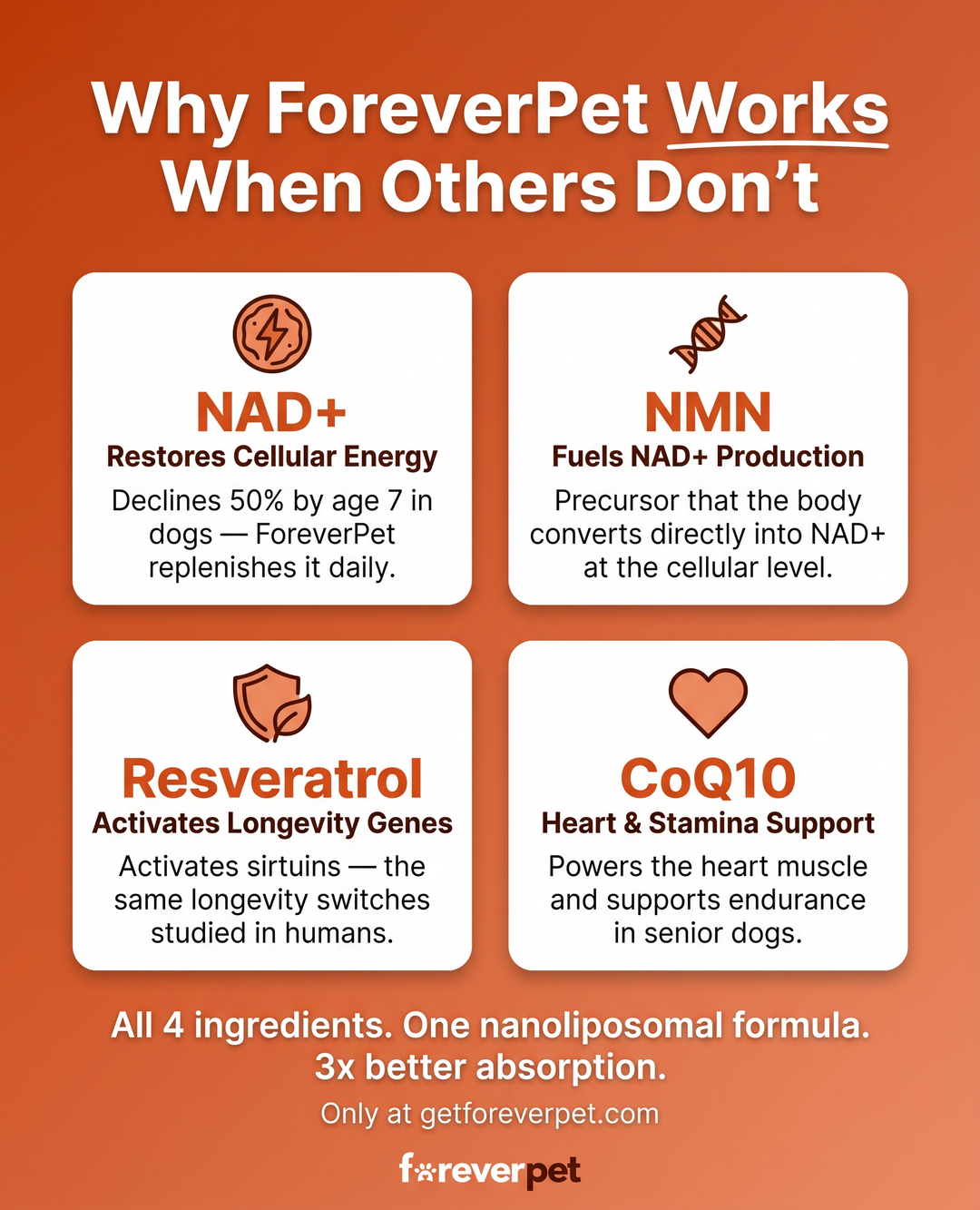 Science-Backed Nanoliposomal Dog Longevity Drops