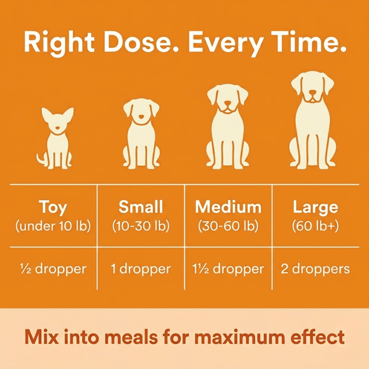 ForeverPet™ The Science-Backed Protocol to Boost Dog Health Span
