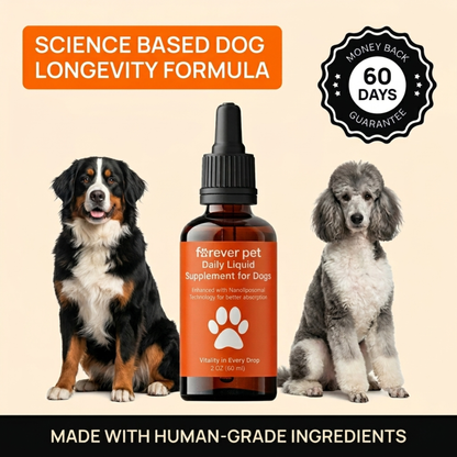 ForeverPet™ The Science-Backed Protocol to Boost Dog Health Span
