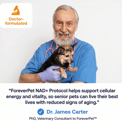ForeverPet™ The Science-Backed Protocol to Boost Dog Health Span