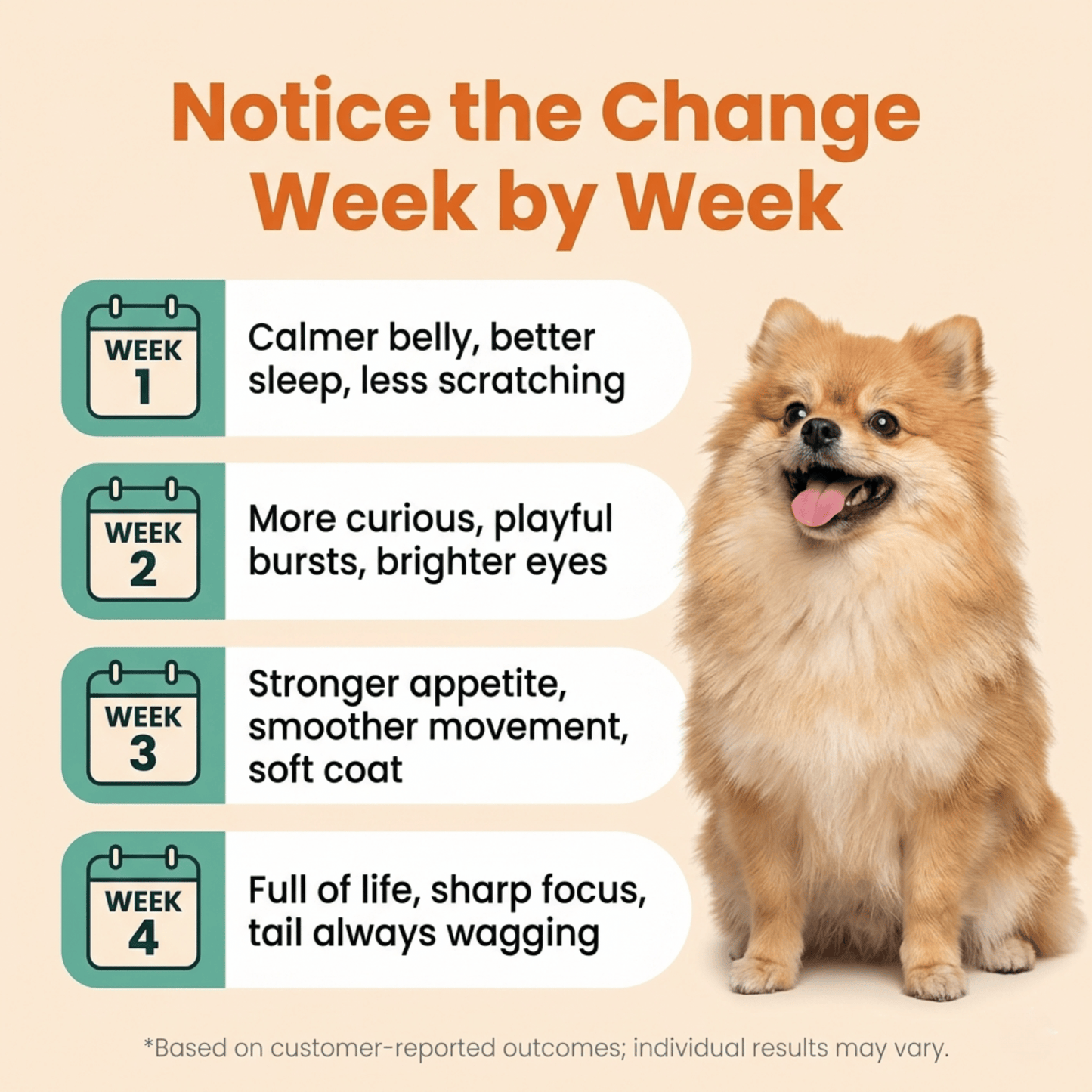 ForeverPet™ The Science-Backed Protocol to Boost Dog Health Span