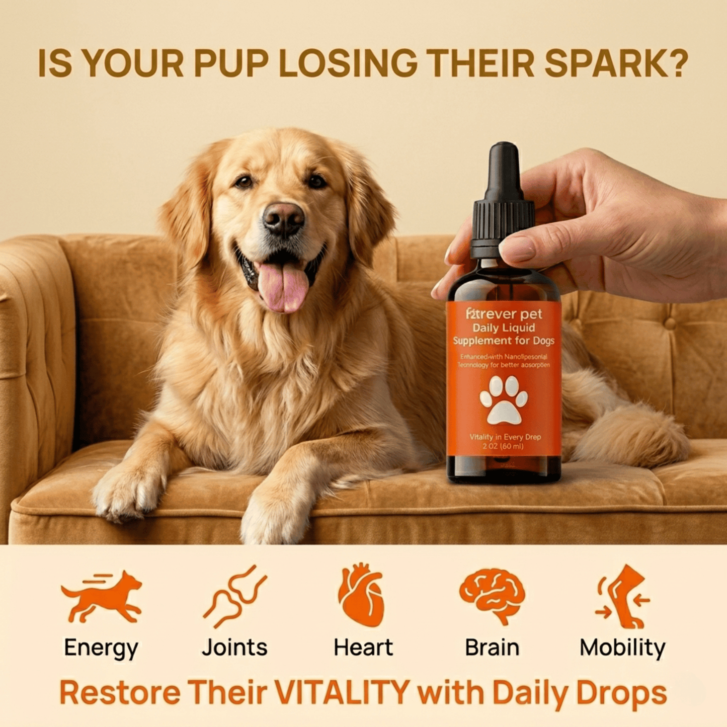 ForeverPet™ The Science-Backed Protocol to Boost Dog Health Span