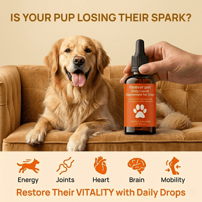 ForeverPet™ The Science-Backed Protocol to Boost Dog Health Span